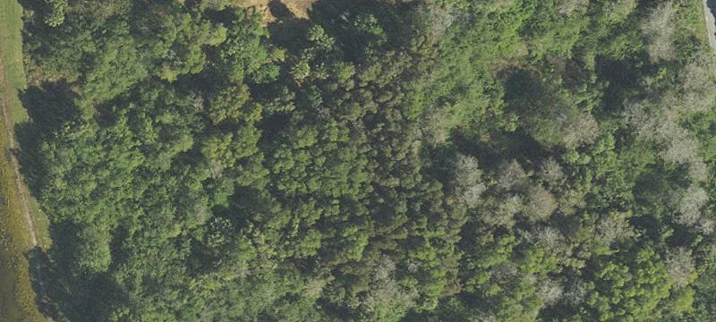 Equestrian Estate Land Opportunity