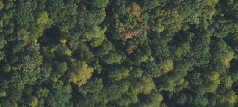 10-Acre Lot Near University Lake