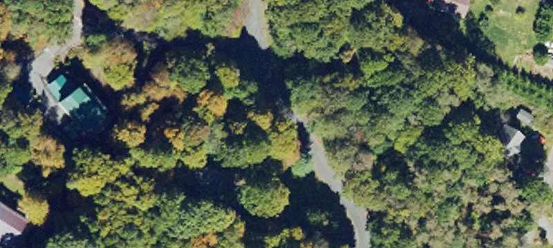 Wooded Lot with Mountain Views