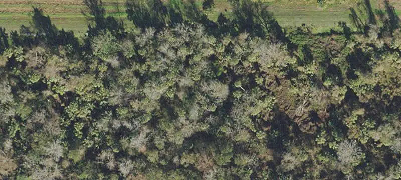 5-Acre Oviedo Estate Parcel
