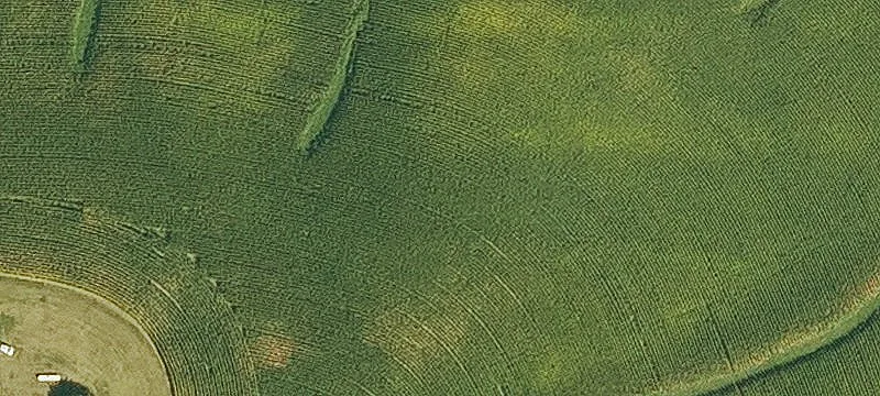 Productive Farm with Home and Shed