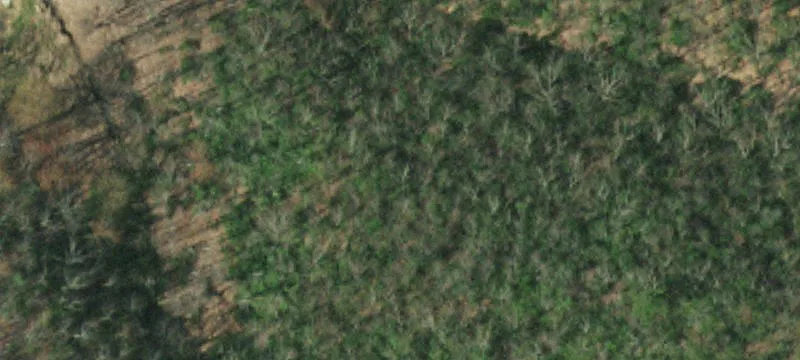 25.68 Acres Bordering National Forest