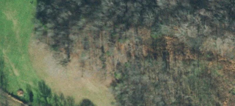 Working Farm with Multiple Barns