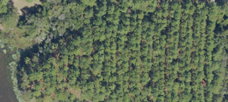 Southern Lakes Waterfront Land