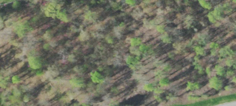 Residential Land with Lake Views