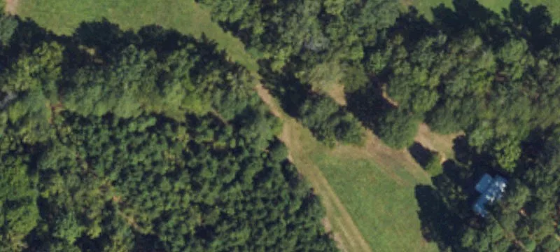 3.21-Acre Wooded Homesite Opportunity