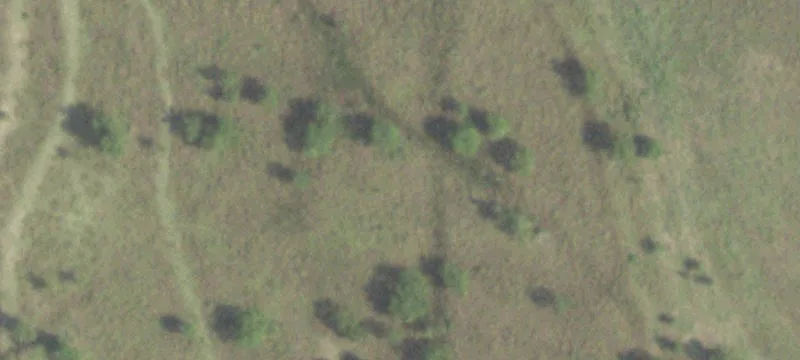 Katy Development Opportunity: 55 Acres