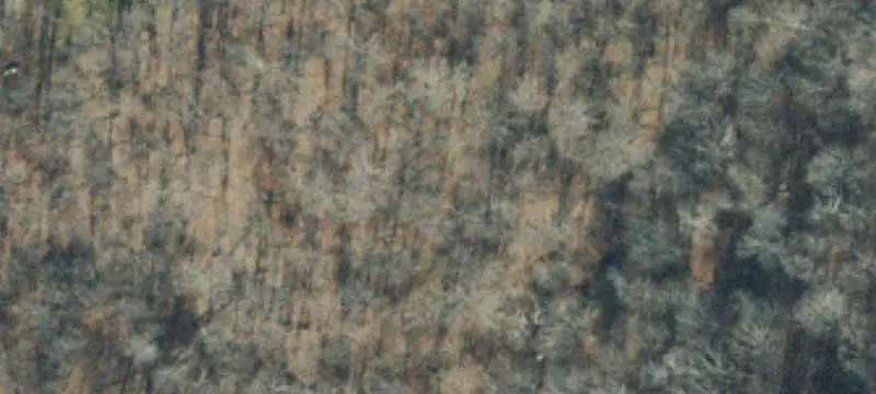 7 Acres Hilltop Homesite