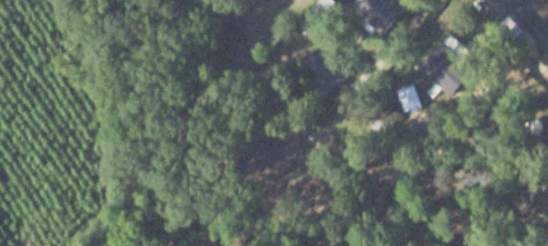Waterfront Lots Near Toledo Bend