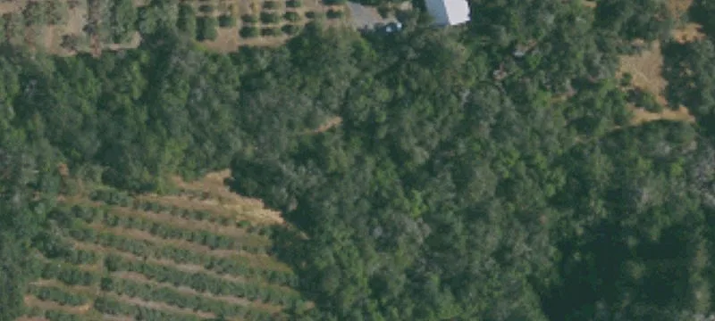 Healdsburg Estate Parcel with Olive Grove