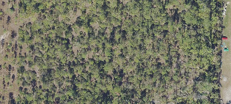 Subdividable Land Parcel For Sale