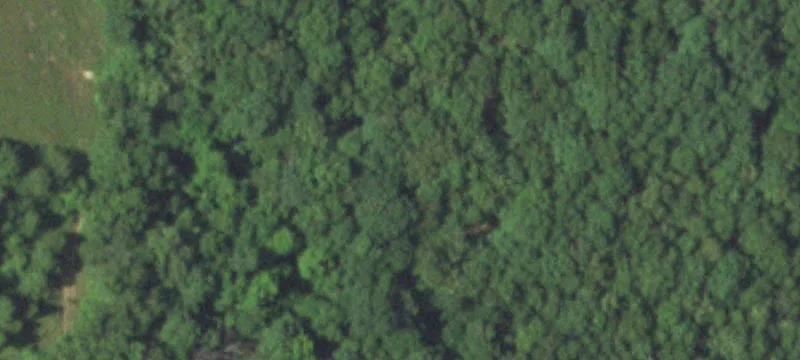 Residential Lots in City Limits