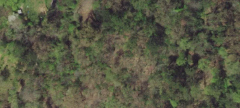 6-Acre Wooded Lot For Sale