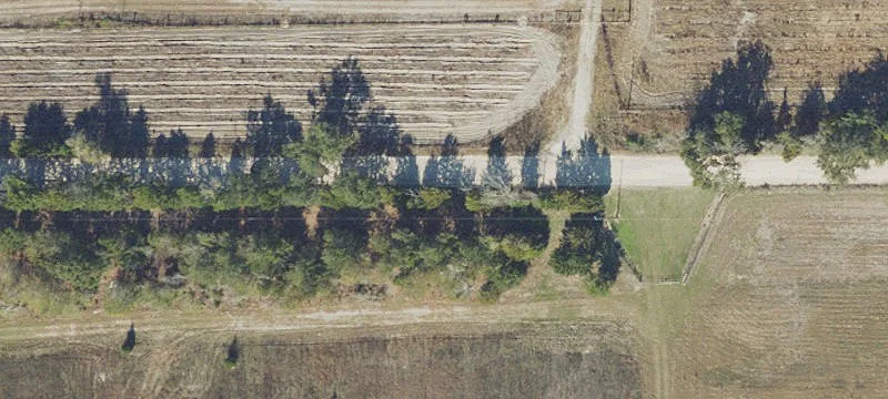 Wellborn Acreage with Workshop