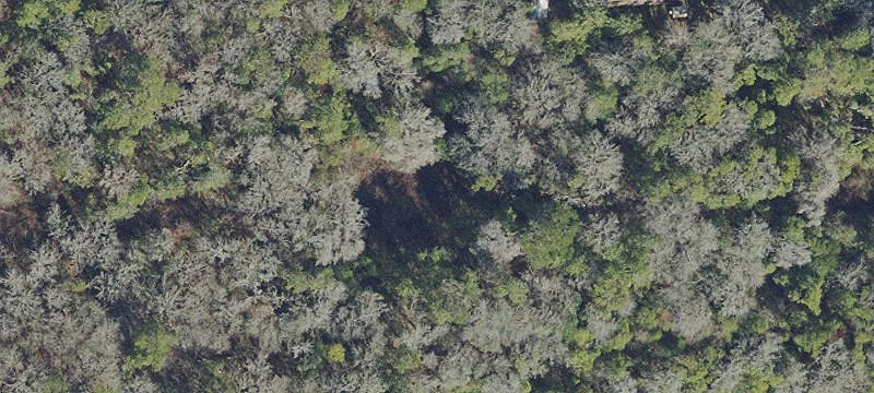 George's Lake Recreational Land