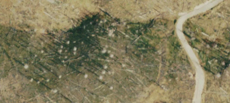 Land with Mountain Spring