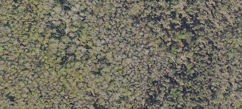 Prime Land Parcel Near SR 82