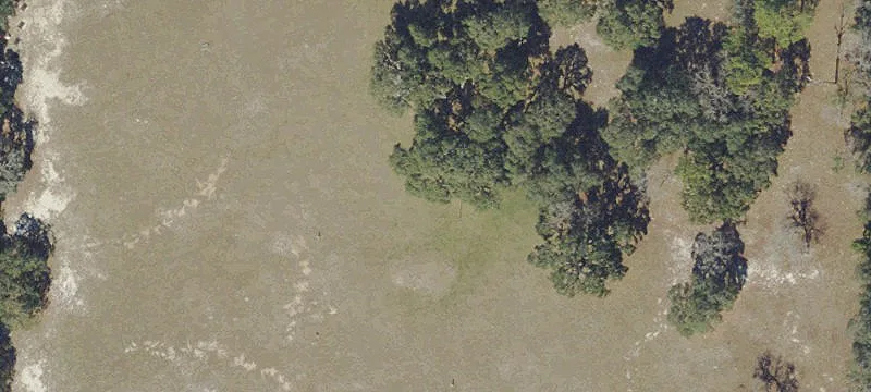 19.5 Acres with Golf Range