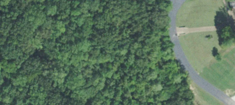 Wooded Estate Lot For Sale