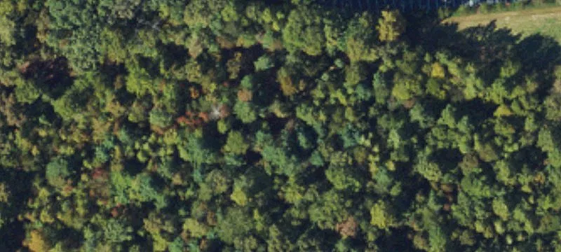 Commercial Land in High-Growth Area