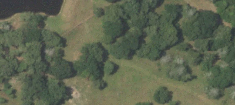Updated Ranch in Cat Spring