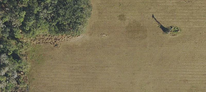 Plant City Agricultural Land Opportunity