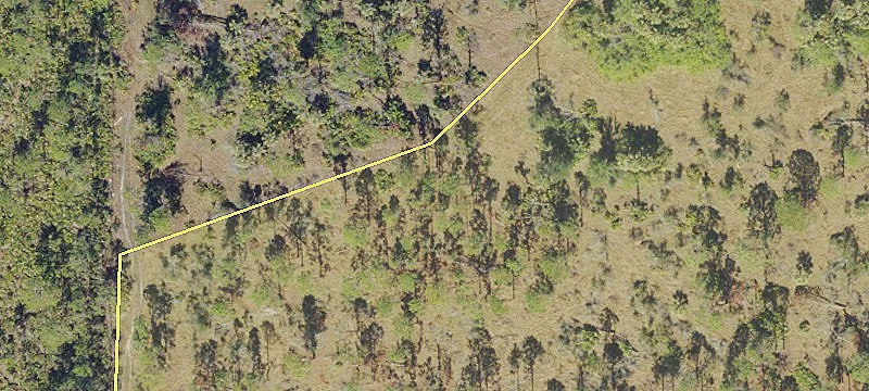 80-Acre Ranch in Punta Gorda