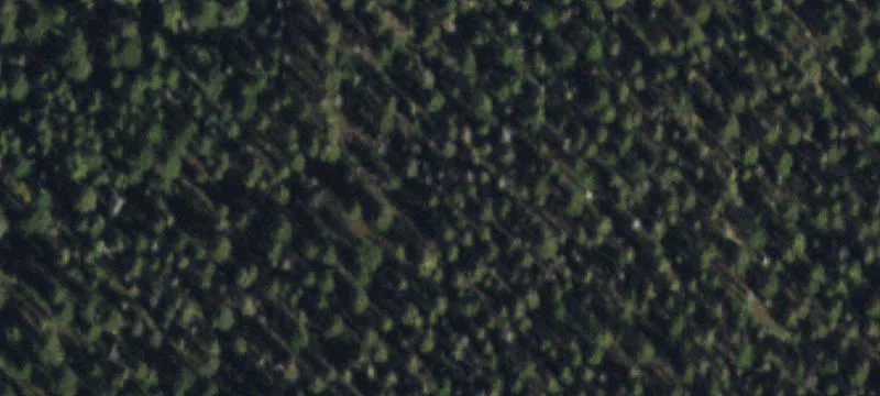 Private Land Parcel in Florissant