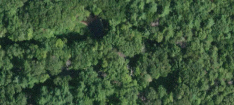 89 Acres at Old Game Farm