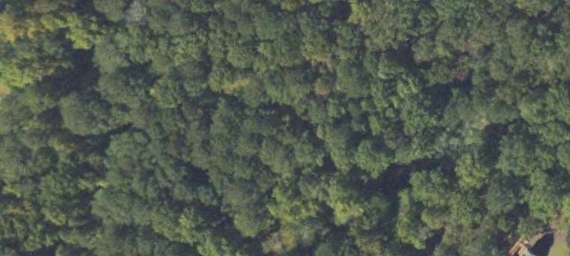 Alpharetta Homesite with Picturesque Creek