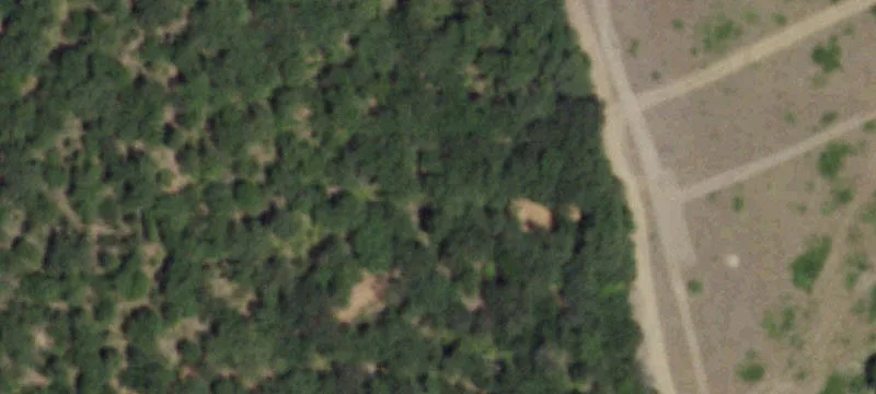 Picturesque Ranch with Brazos River Access