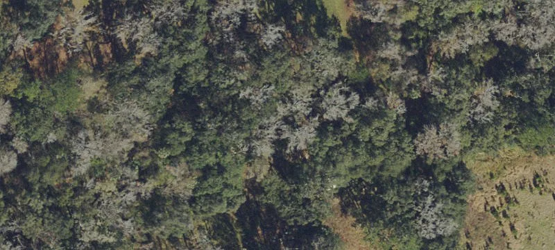 Residential Land in Spring Lake