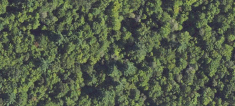 Secluded Land Near Long Lake