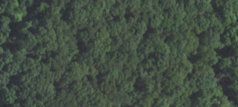Farm