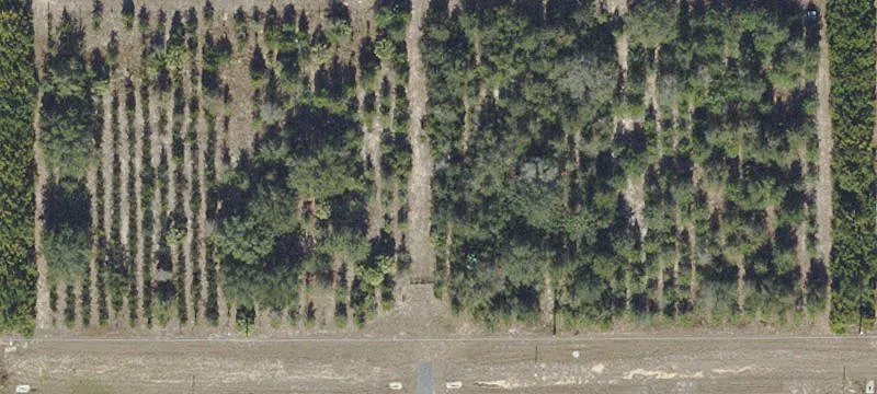 Prime Buildable Lot For Sale