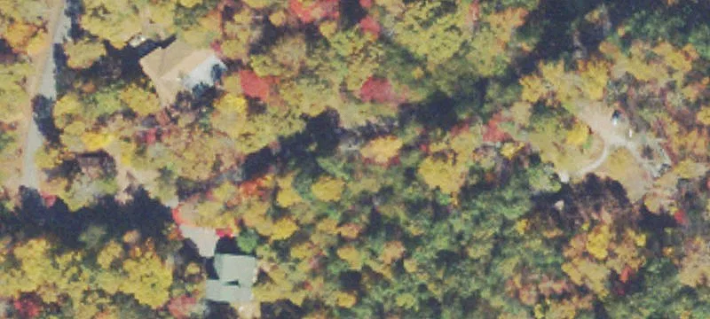 Wooded Lot in Wildwood III