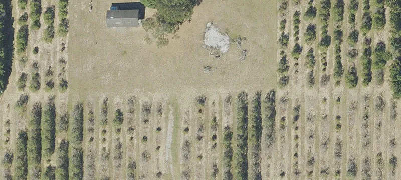 Premier Estate Home Site