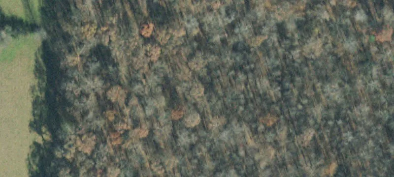 High-Traffic Land Near I-24