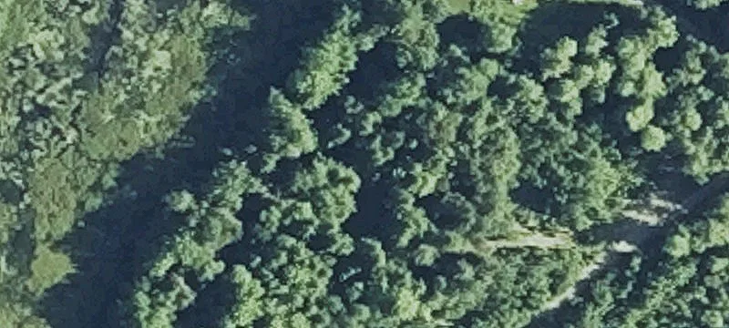 Wooded Land Near Crawford Lake