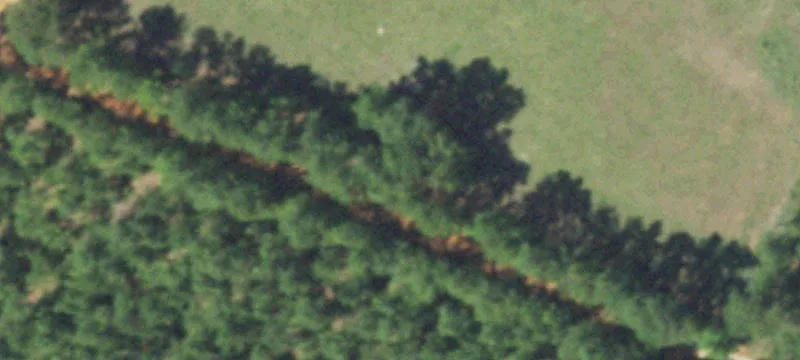 Houston County Ranch with Home