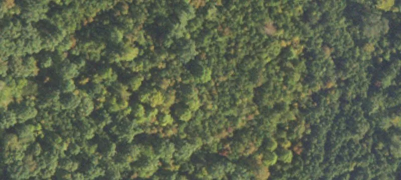 Commercially Zoned Land For Sale