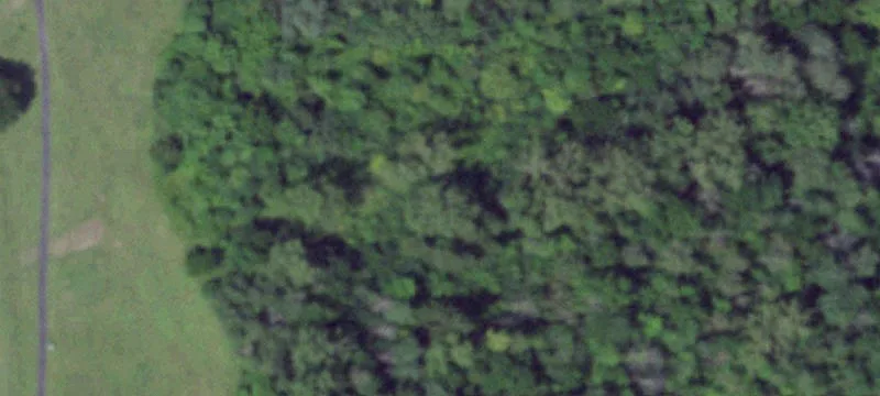 Commercial Land in High Growth