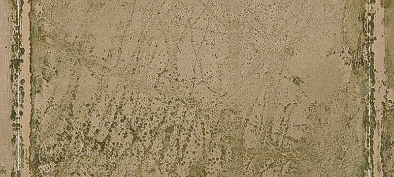 Casa Grande Land Investment Opportunity