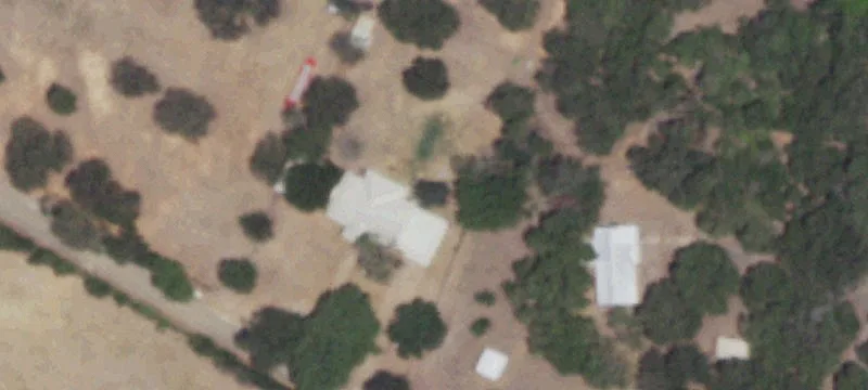 Expansive Land with Wildlife
