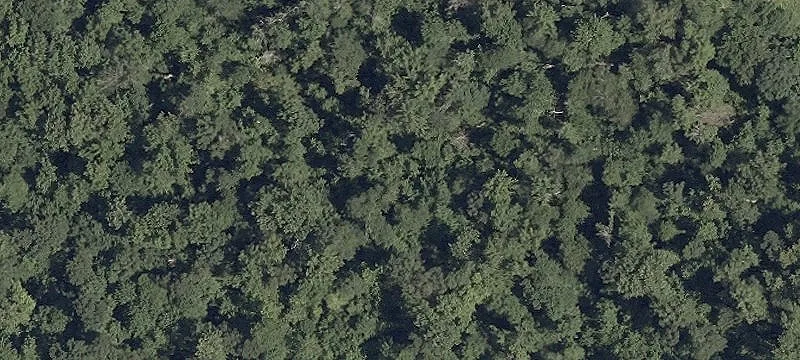 Wooded Land Parcel For Sale