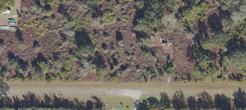 Wooded Lot in Georgetown