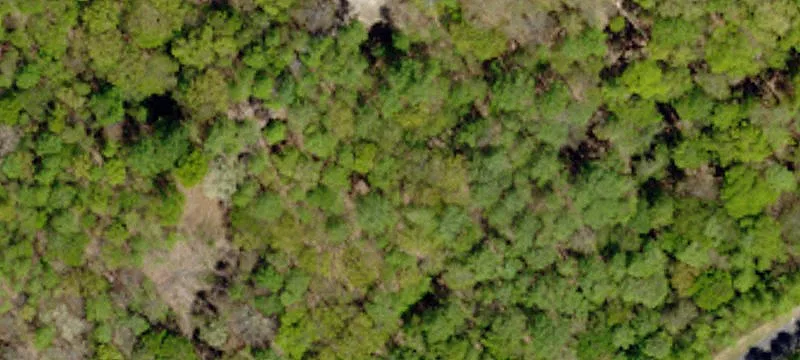 Mountain Park Homesite Opportunity