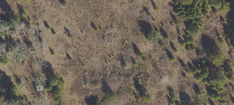 Crawfordville Commercial Land For Sale