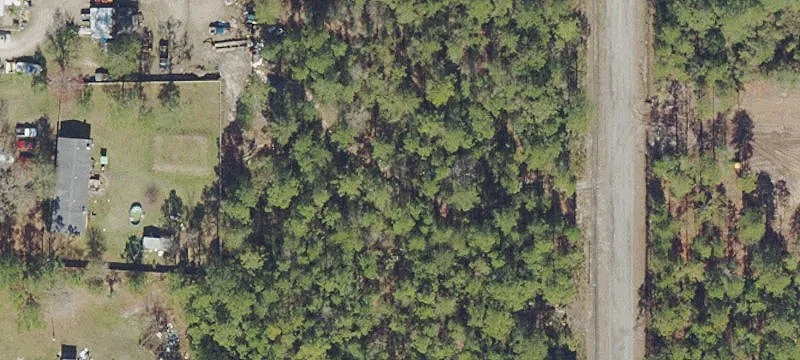 Flagler Estates Wooded Acreage