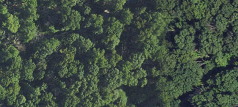Wooded Lots in Harpers Ferry